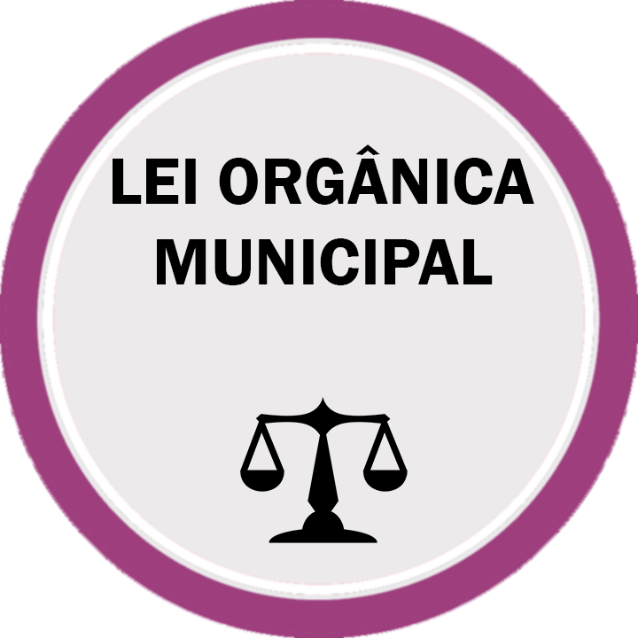 lEI ORGANICA MUNICIPAL